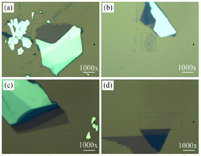 圖 3.3 低溫氧等離子體處理后單層 M o S 2 薄膜的光學顯微鏡圖。（a）樣品 1 # 的光鏡圖，（b）樣 品 2 # 處理 1 0 s 的光鏡圖，（ c）樣品 3 # 處理 2 0 s 的光鏡圖和（ d）樣品 4 # 處理 4 0 s 的光鏡圖。